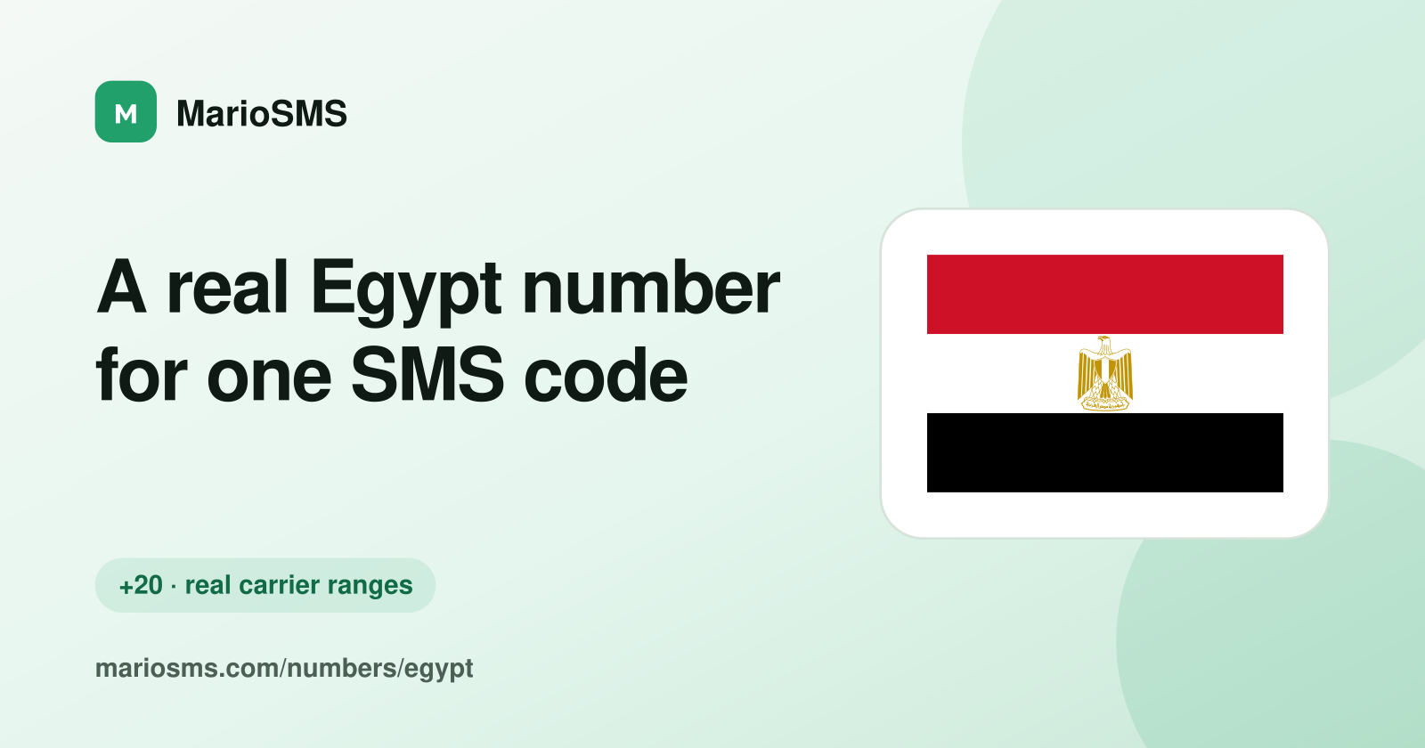 Rented Egyptian +20 mobile number receiving an SMS verification code
