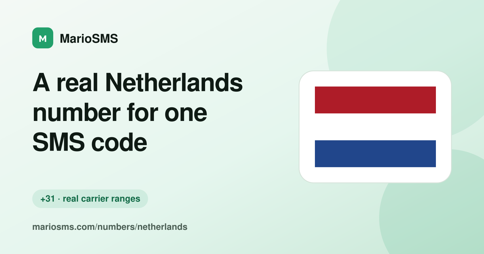 Rented Dutch +31 6 mobile number receiving a verification code